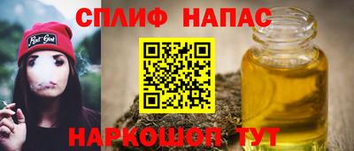 МДПВ Абинск