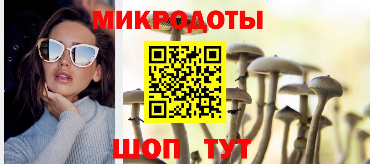 Псилоцибиновые грибы мухоморы Апатиты